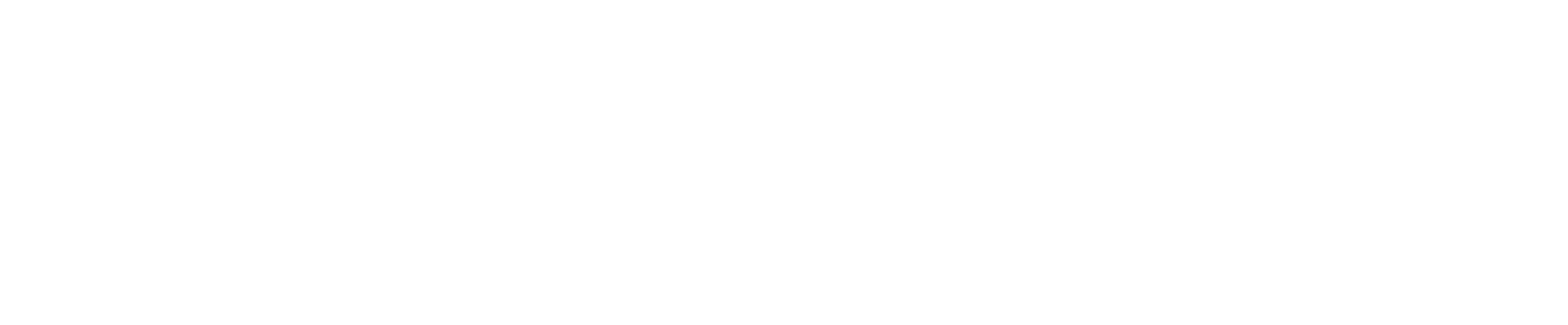Asociación Educacional Antonio Raimondi